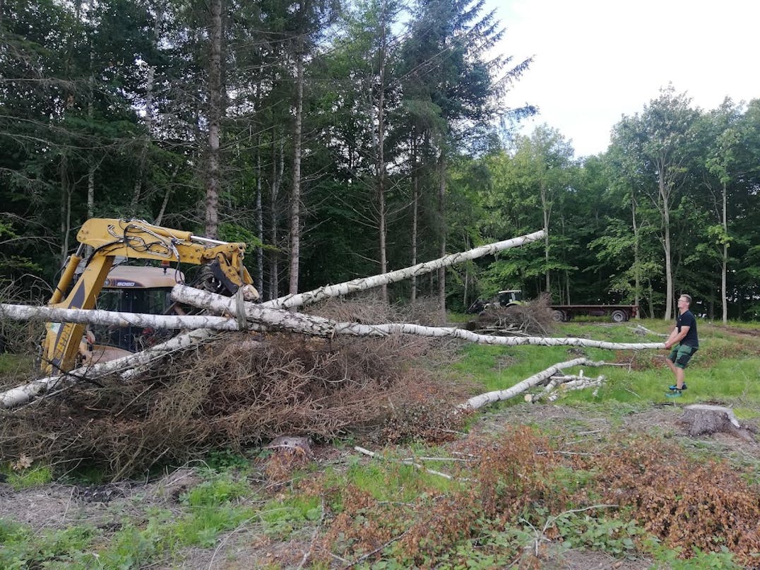 Overdækket terrasse af birketræ Overdækket terrasse af birketræ
